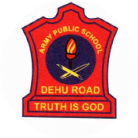 Army Public School