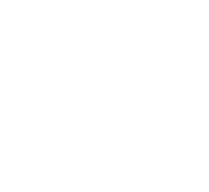 Analytical Icon
